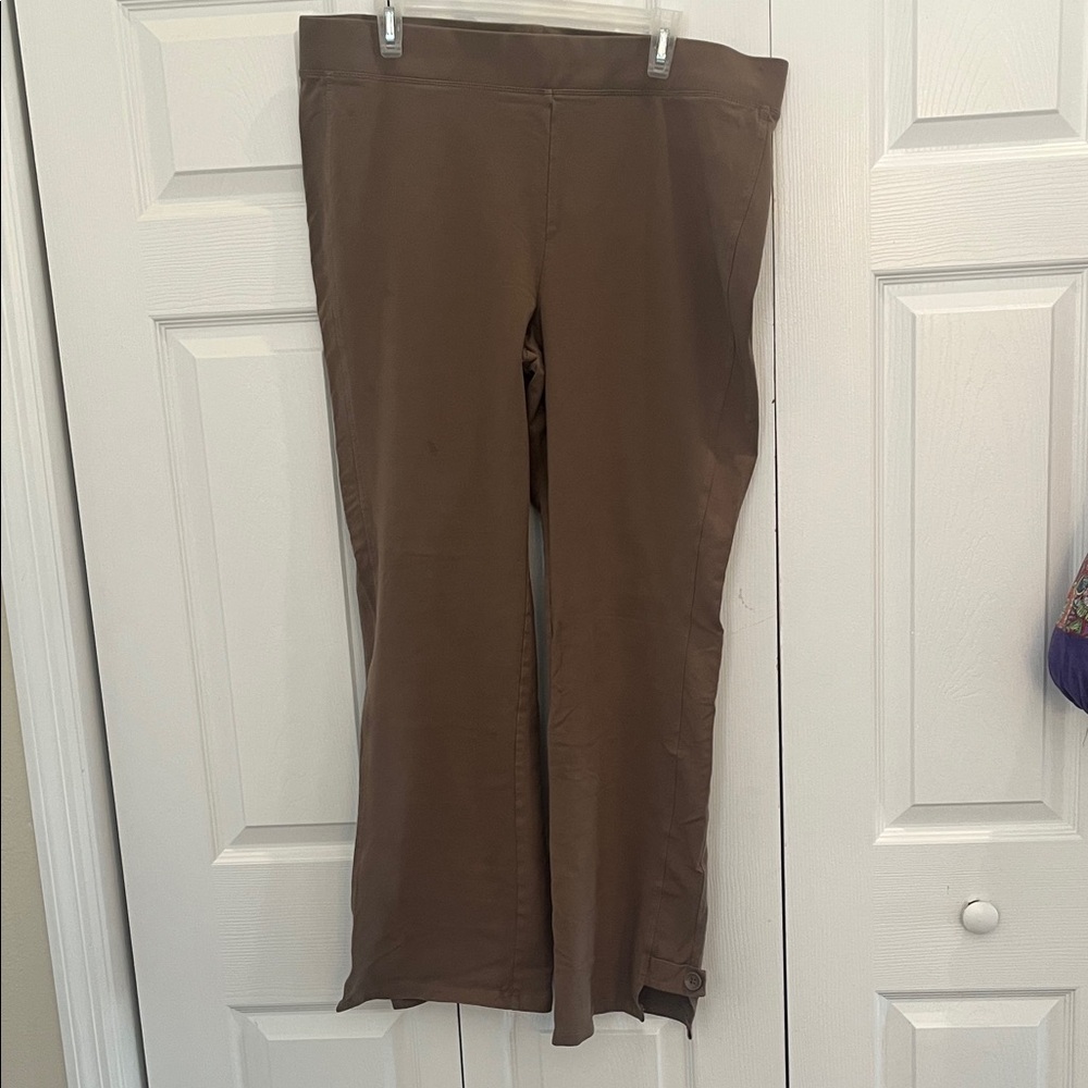 Women with Control Brown Pants
